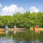 Kayak Location