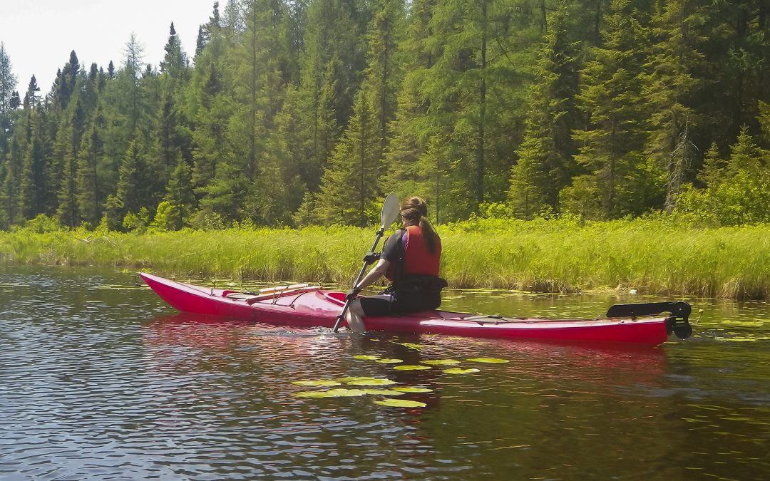 Everything you need to know about Aquatic habitats kayaking