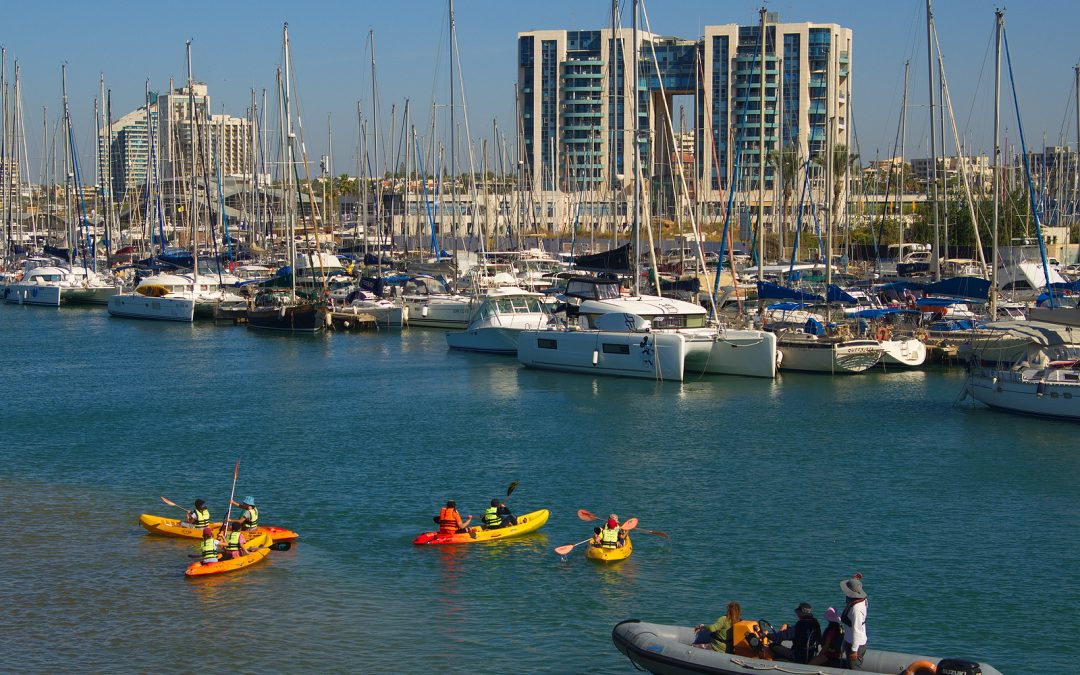 How to Find and Select the Best Fishing Charters for Kayakers: Expert Tips and Advice